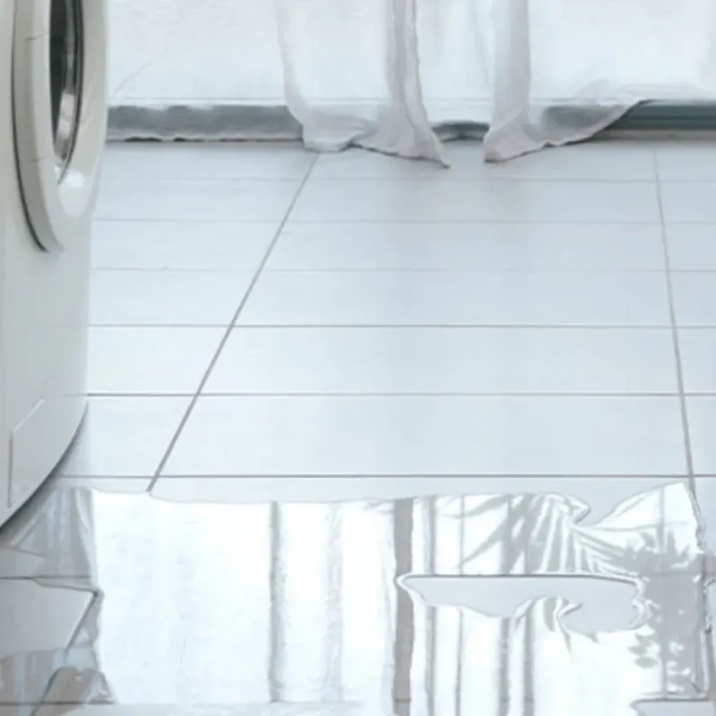 Appliance Leak Cleanup in Allegan County, MI