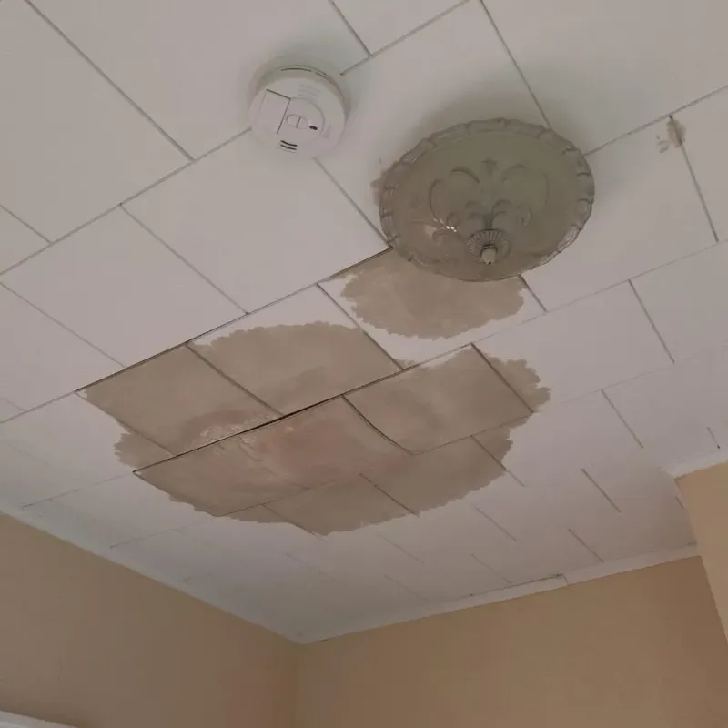 Ceiling Water Damage Repair in Allegan County, MI