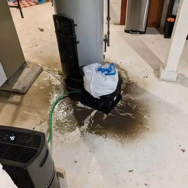 Sewage Backup Cleanup Service in Allegan County, MI